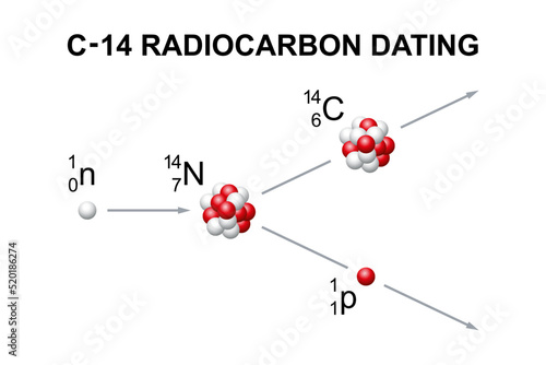 Radiocarbon dating, known as carbon or C-14 dating. A method of determining the age of an object containing organic material, by using the properties of radiocarbon, a radioactive isotope of carbon. photo