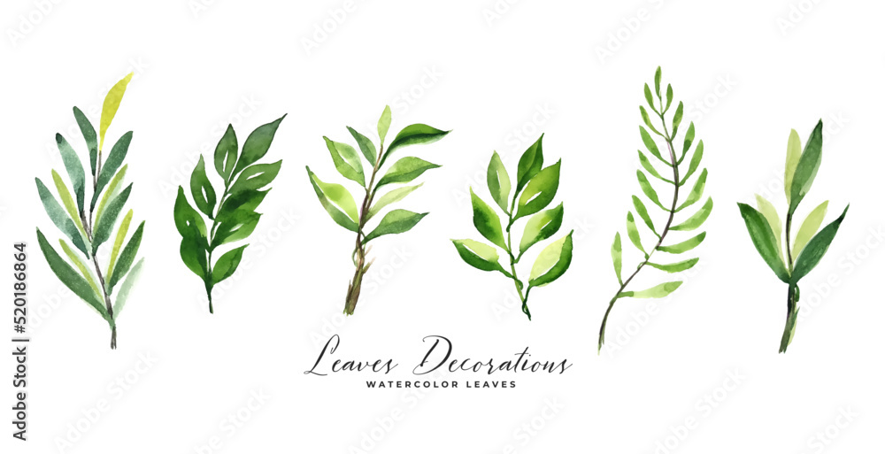 set of green watercolor leaves decoration