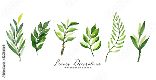 set of green watercolor leaves decoration