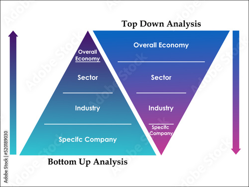 top down fundamental analysis and bottom up fundamental analysis In a triangular Infographic template