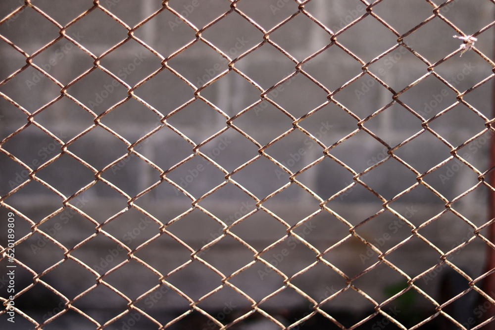 Fototapeta premium Wire mesh fence