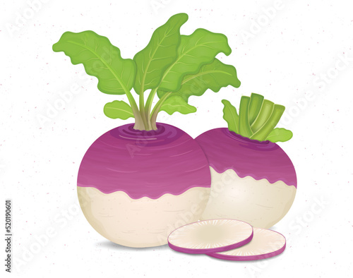 Vector Turnip Vegetable Illustration with turnip pieces and green leaves
