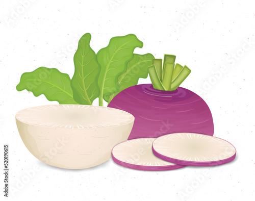 Half Turnip vegetable with turnip slices and leaves vector illustration
