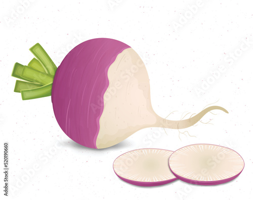 Vector Turnip Vegetable Illustration with turnip pieces and green leaves