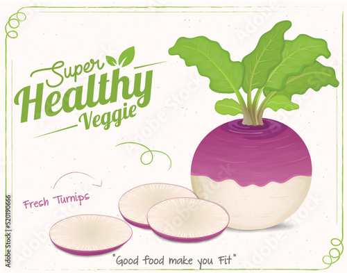 Turnip Vegetable vector illustration with round slices of vegetable 