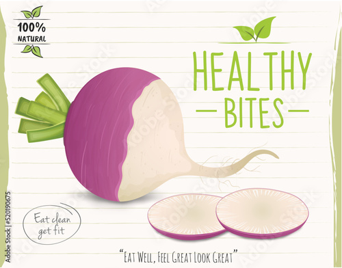 Turnip Vegetable vector illustration with round slices of vegetable