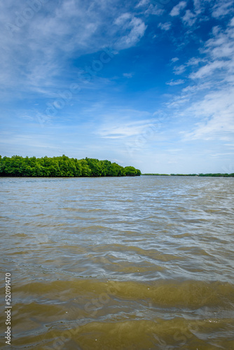 Pichavaram Mangrove Forests. The second largest Mangrove forest in the world  located near Chidambaram in Cuddalore District  Tamil Nadu  India