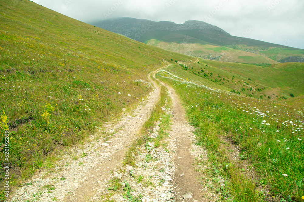 Fototapeta premium Ground road in nature. Armenia. Summer