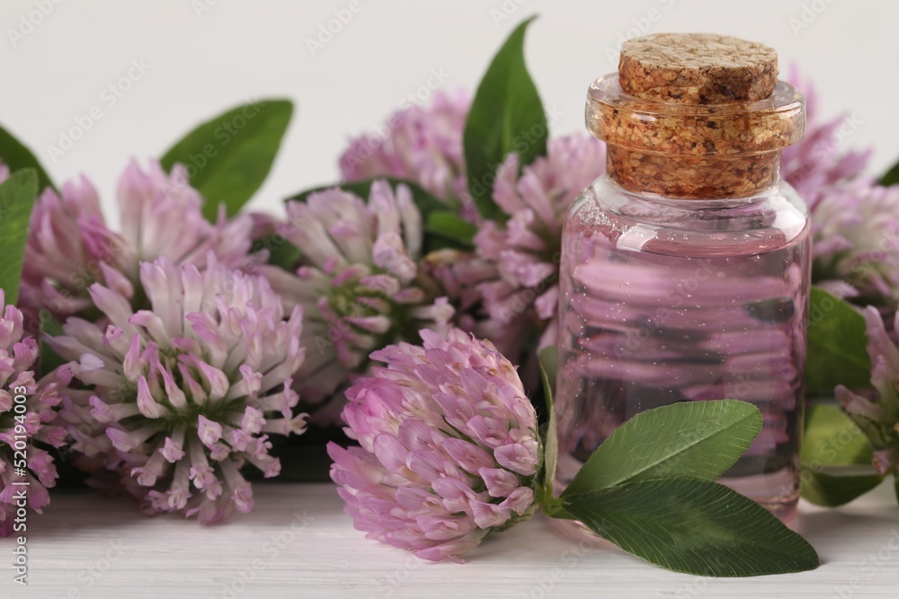 Beautiful clover flowers and essential oil on white table, closeup Beautiful clover flowers and essential oil on white table, closeup