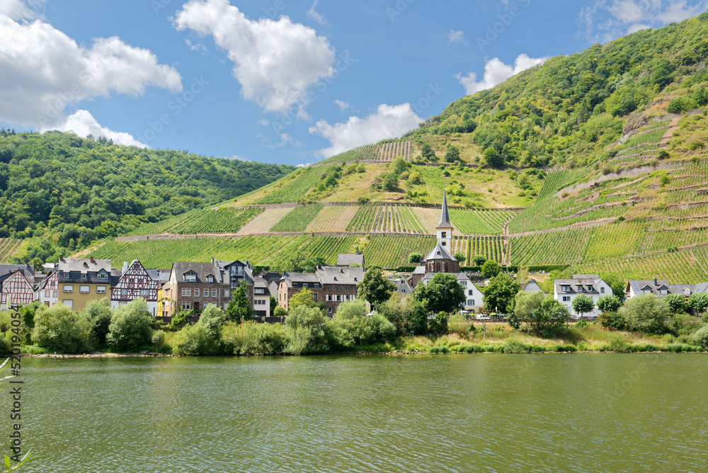 Obraz premium The village Bremm at the Moselle river