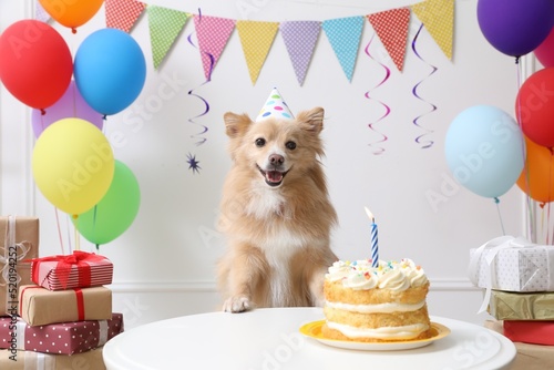 Canvas Print Cute dog wearing party hat at table with delicious birthday cake in decorated ro