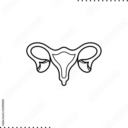 uterus, female reproductive system, vector isolated on white