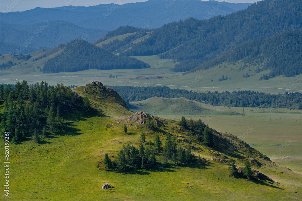Obraz premium Russia. South of Western Siberia, Mountain Altai. Picturesque hilly mountains covered with a solid green carpet with many alpine flowers near the village of Ust-Kan.