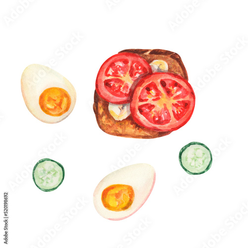 Watercolor breakfast. Food illustration. Lunch illustration. Watercolor design with sandwich with tomatoes, eggs, cucumbers. Healthy food. 
