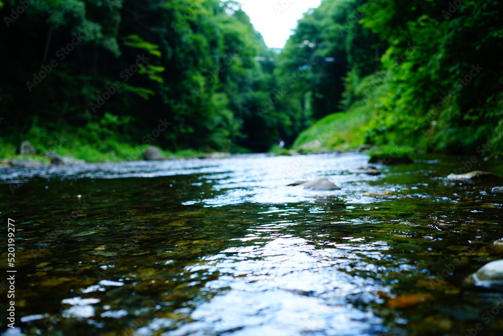 東京の払沢の滝 東京の払沢の滝
