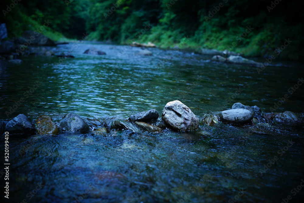 Fototapeta premium 東京の払沢の滝