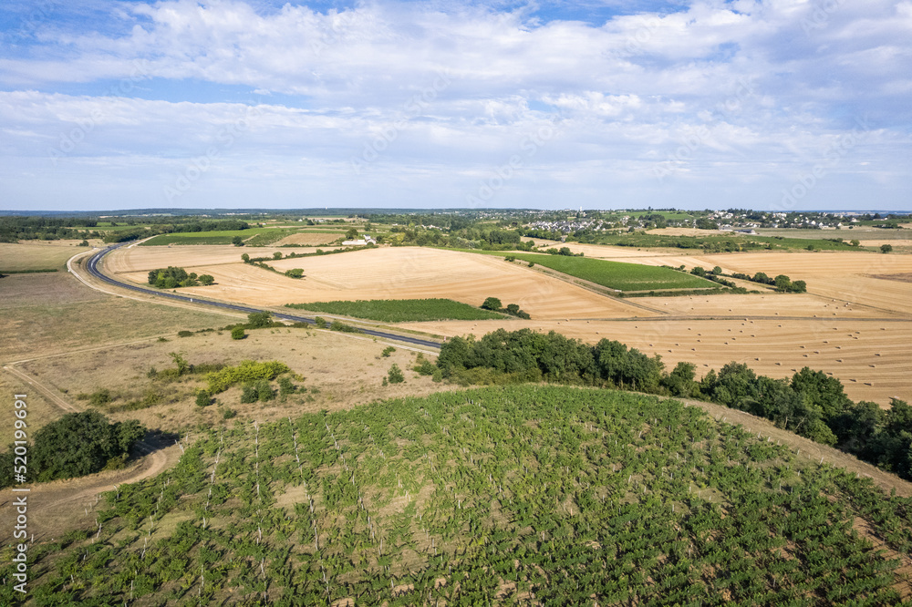 Photographie aérienne de champs de culture agricole de blé en France avec des rangs de vigne en premier plan.