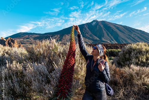 Woman standing next to gigantic red flowers Tajinaste. Scenic view on volcano Pico del Teide, Mount El Teide National Park, Tenerife, Canary Islands, Spain, Europe. Hiking trail on sunny summer day photo