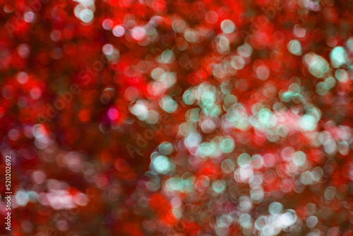 lensflares, blurred bokeh lights in white and turquoise on red for webdesign, backgrounds, compositions and overlays