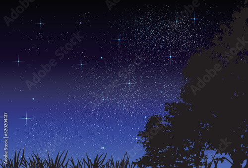 ベクター背景素材_夜空_草むら