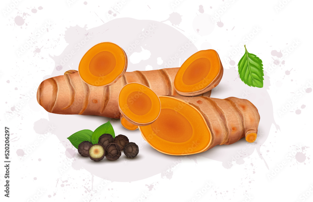 Vector illustration of turmeric root and black pepper seed with