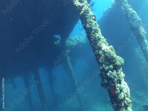 USAT Liberty wreck cargo room, Tulamben, Bali photo