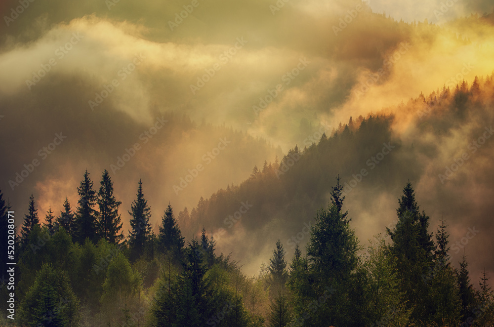 Misty mountain landscape Misty mountain landscape