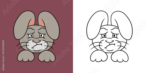 Horizontal Set of pictures, angry gray rabbit, disgruntled hare, vector illustration in cartoon style