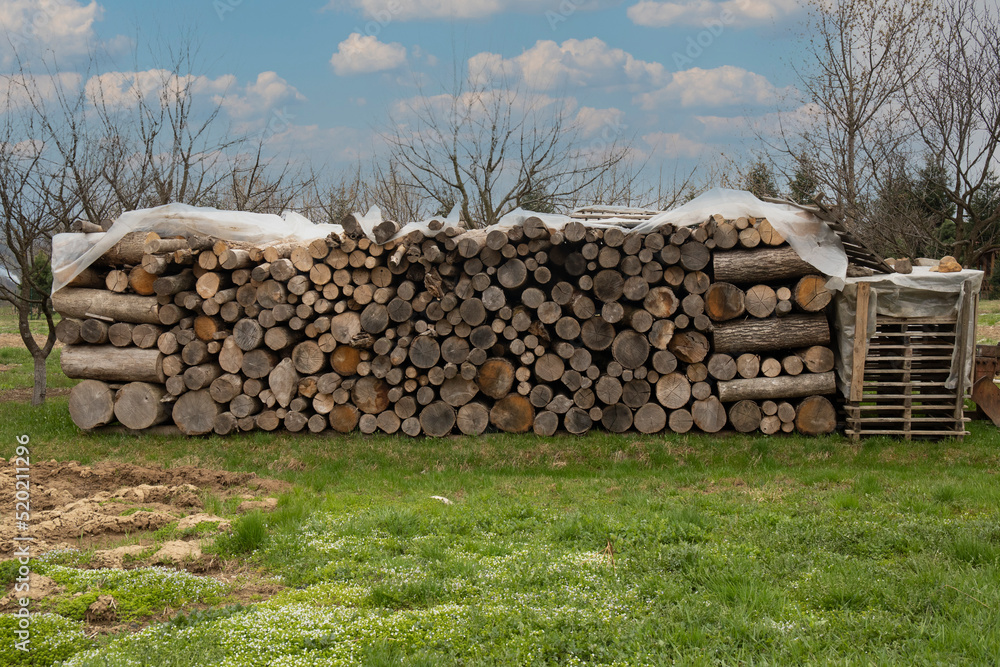 Yard with stacked firewood for the fireplace