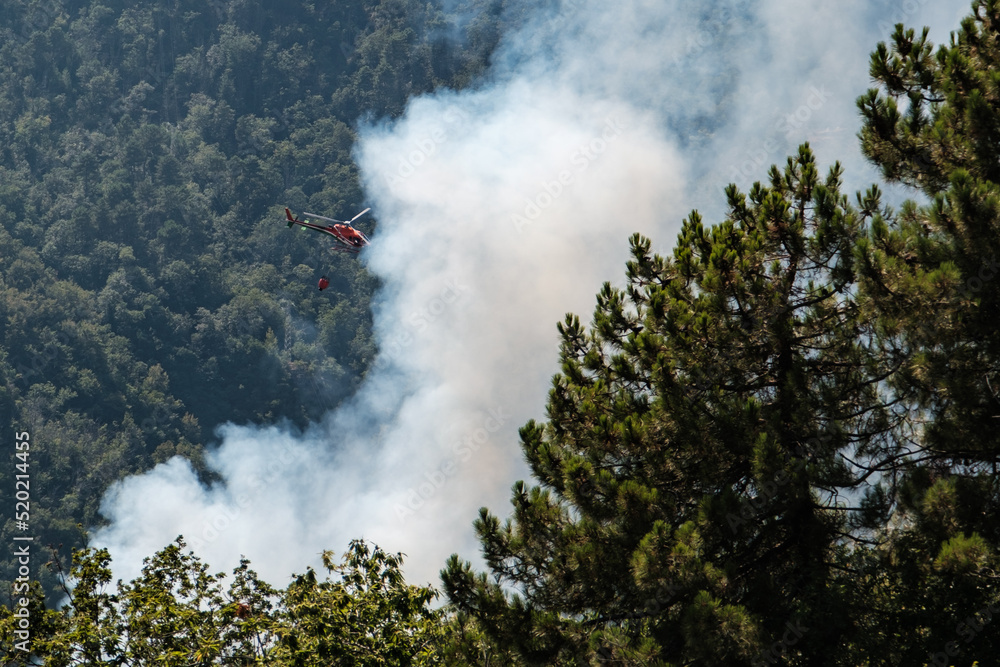 Hélicoptère pompier chargé d'une réserve d'eau intervenant sur le lieu d'un incendie de forêt - obrazy, fototapety, plakaty 