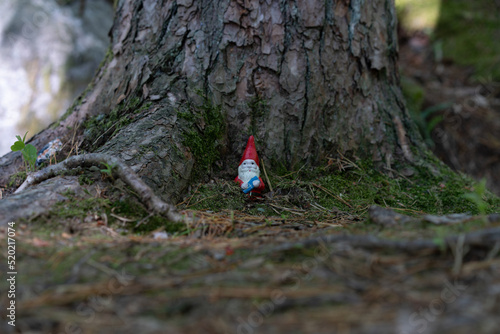 Forest gnome