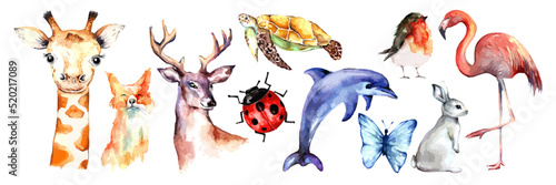 Cute watercolor animals and bugs or bird vector set. Hand drawn watercolor wild animals. Wallpaper or background for kids coloring book and kindergarten. Zoo or forest