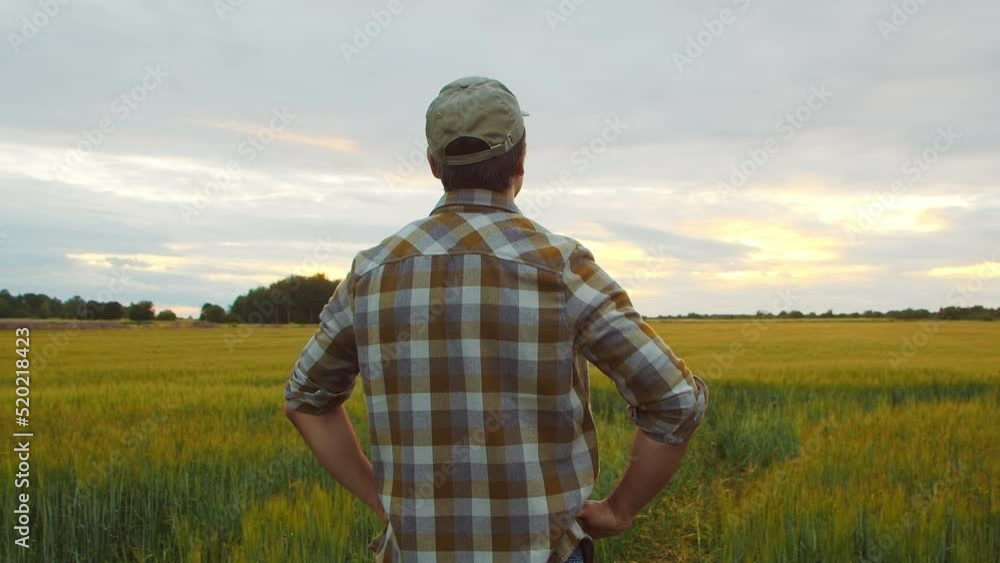 Farmer in front of a sunset agricultural landscape. Man in a countryside field. Country life, food production, farming and country lifestyle concept. Farmer in front of a sunset agricultural landscape. Man in a countryside field. Country life, food production, farming and country lifestyle concept.