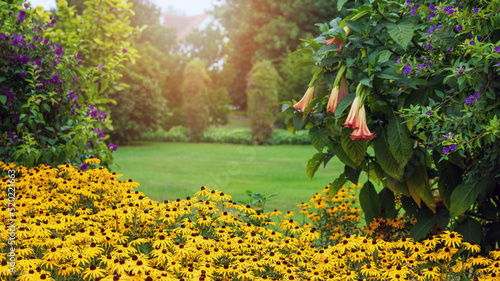 Fototapeta Naklejka Na Ścianę i Meble -  Amazing garden with different colorful flowers and trees in the evening sun