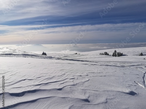 Snowy land © Vincent
