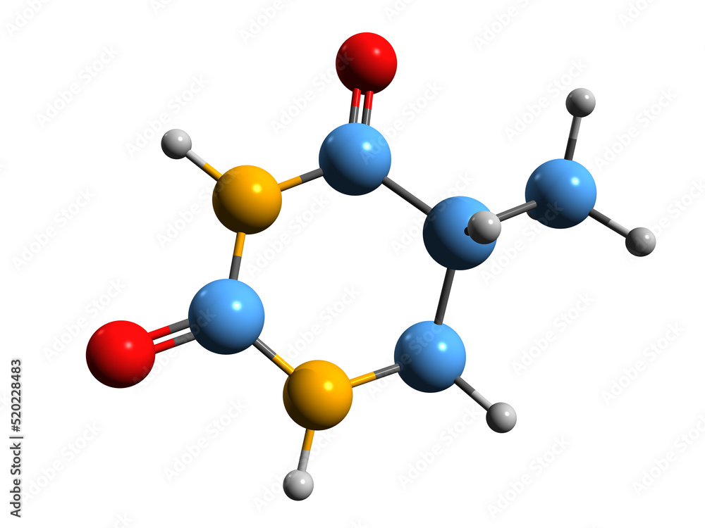 3D image of Dihydrothymine skeletal formula - molecular chemical structure of thymine intermediate isolated on white background
3D image of Dihydrothymine skeletal formula - molecular chemical structure of thymine intermediate isolated on white background