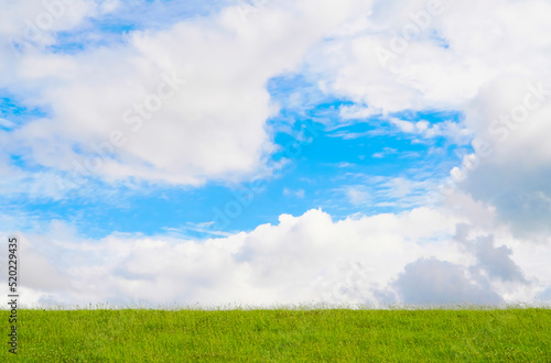 Green grass field with blue sky. Empty field in the summer with clouds in the sky.