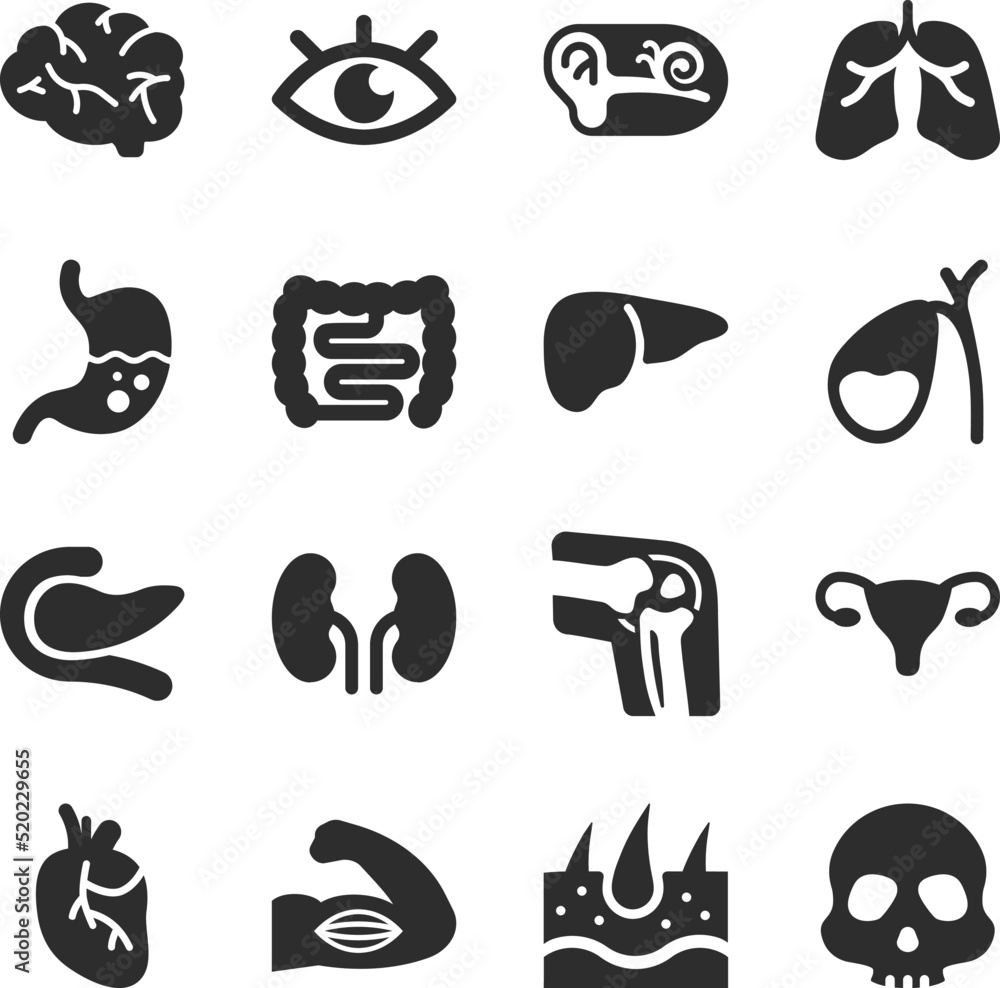 Human organs icons set. Internal organs. Anatomy. Monochrome black and white icon. Human organs icons set. Internal organs. Anatomy. Monochrome black and white icon.