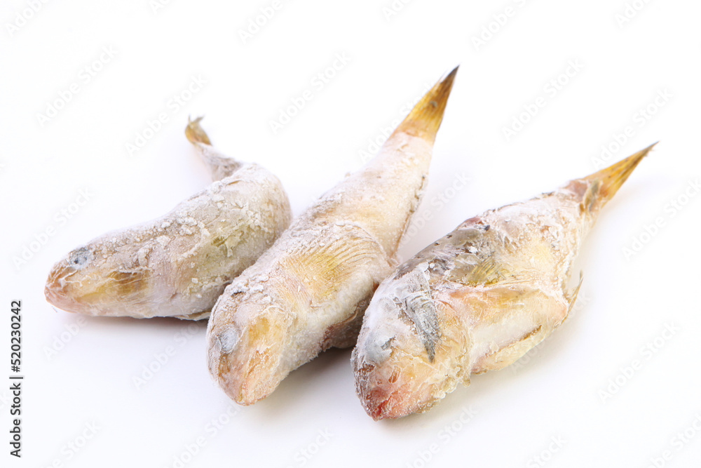 Fresh-frozen goby fish. Black Sea goby with ice on the surface. Fresh fish in frost. isolated Fresh-frozen goby fish. Black Sea goby with ice on the surface. Fresh fish in frost. isolated