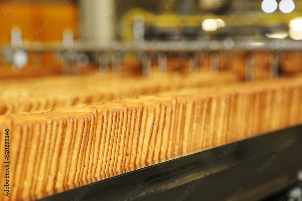 Large biscuit factory. A line of biscuits in a large factory. Packing crackers on the machine. Innovative production.