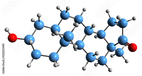 3D image of Epiandrosterone skeletal formula - molecular chemical structure of isoandrosterone isolated on white background photo