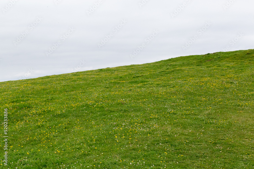 blue sky with green meadows below blue sky with green meadows below