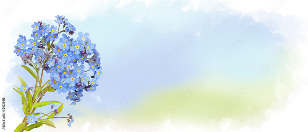 Blue field flowers of forget me not isolated on pastel watercolor background, wildflowers. Horizontal banner with copy space. Place for a text. Spring greating card