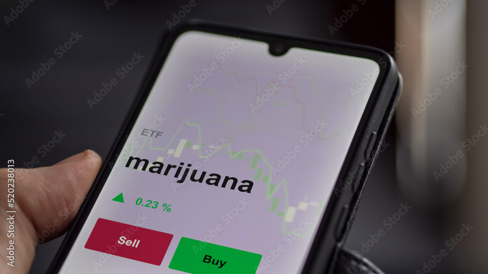 Un investisseur analyse un fonds etf marijuana sur un graphique. Un téléphone affiche le cours de l'ETF. Texte en français francais marijuana Un investisseur analyse un fonds etf marijuana sur un graphique. Un téléphone affiche le cours de l'ETF. Texte en français francais marijuana