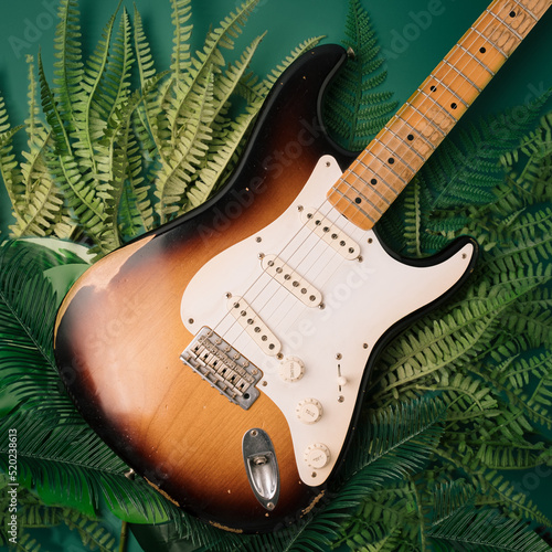 Photography 50s strat laid on forest leaves