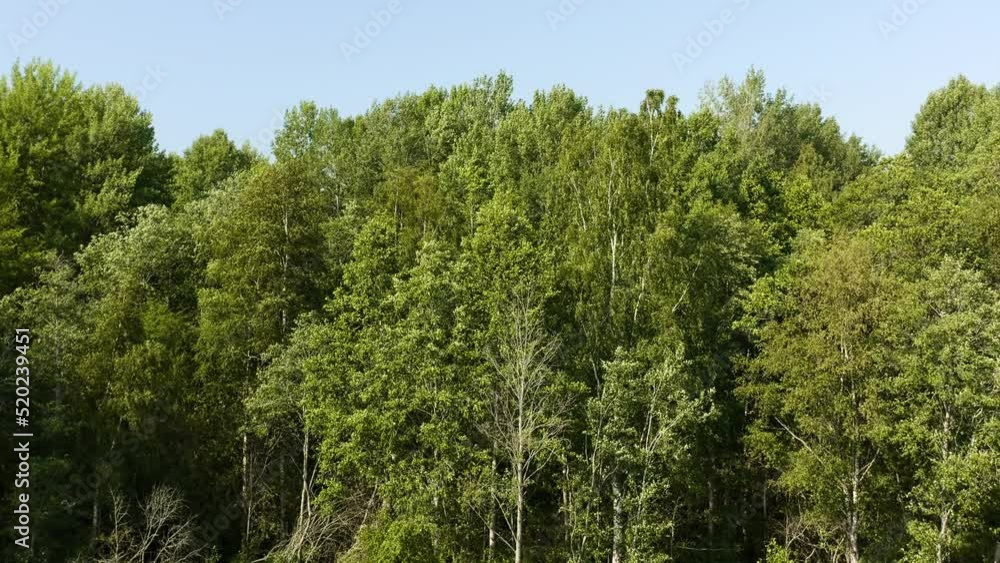 Camera takeoff over a green forest revealing a view of a blue calm lake. Aerial medium to general view, flight up Camera takeoff over a green forest revealing a view of a blue calm lake. Aerial medium to general view, flight up