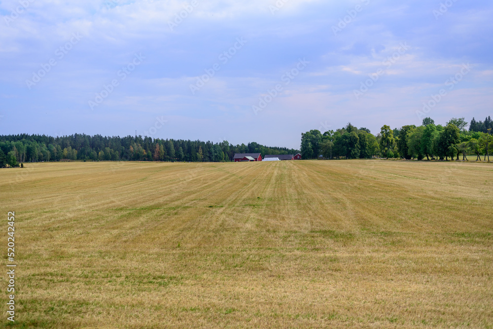 Sweden, landscape. agricultural field after harvesting