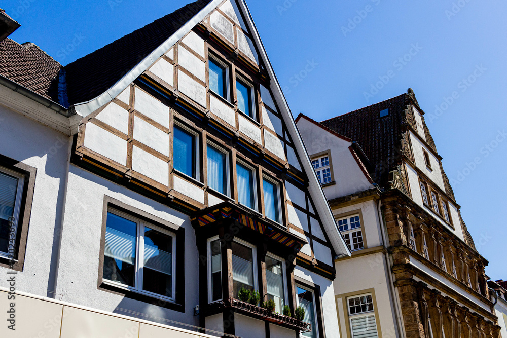 Fototapeta premium facade of an house