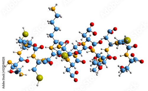 3D image of Follicle-stimulating hormone beta subunit skeletal formula - molecular chemical structure of FSH-B isolated on white background
 photo