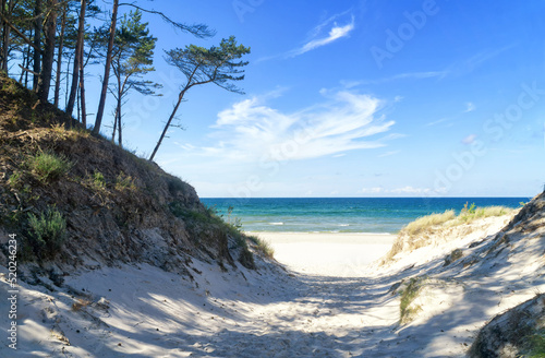 Entrance to a sandy beach through dunes, Baltic Sea near Łeba, Poland, Europe. Summer, little waves on the water, blue sky with white clouds.
